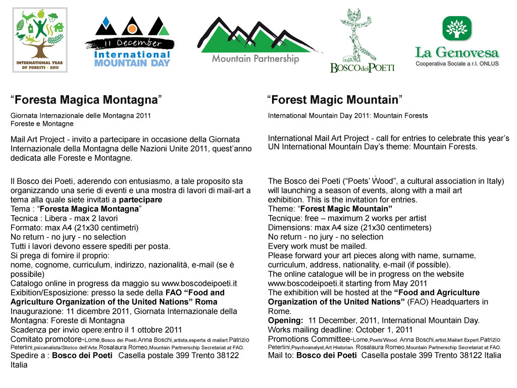 Forest Magic Mountain